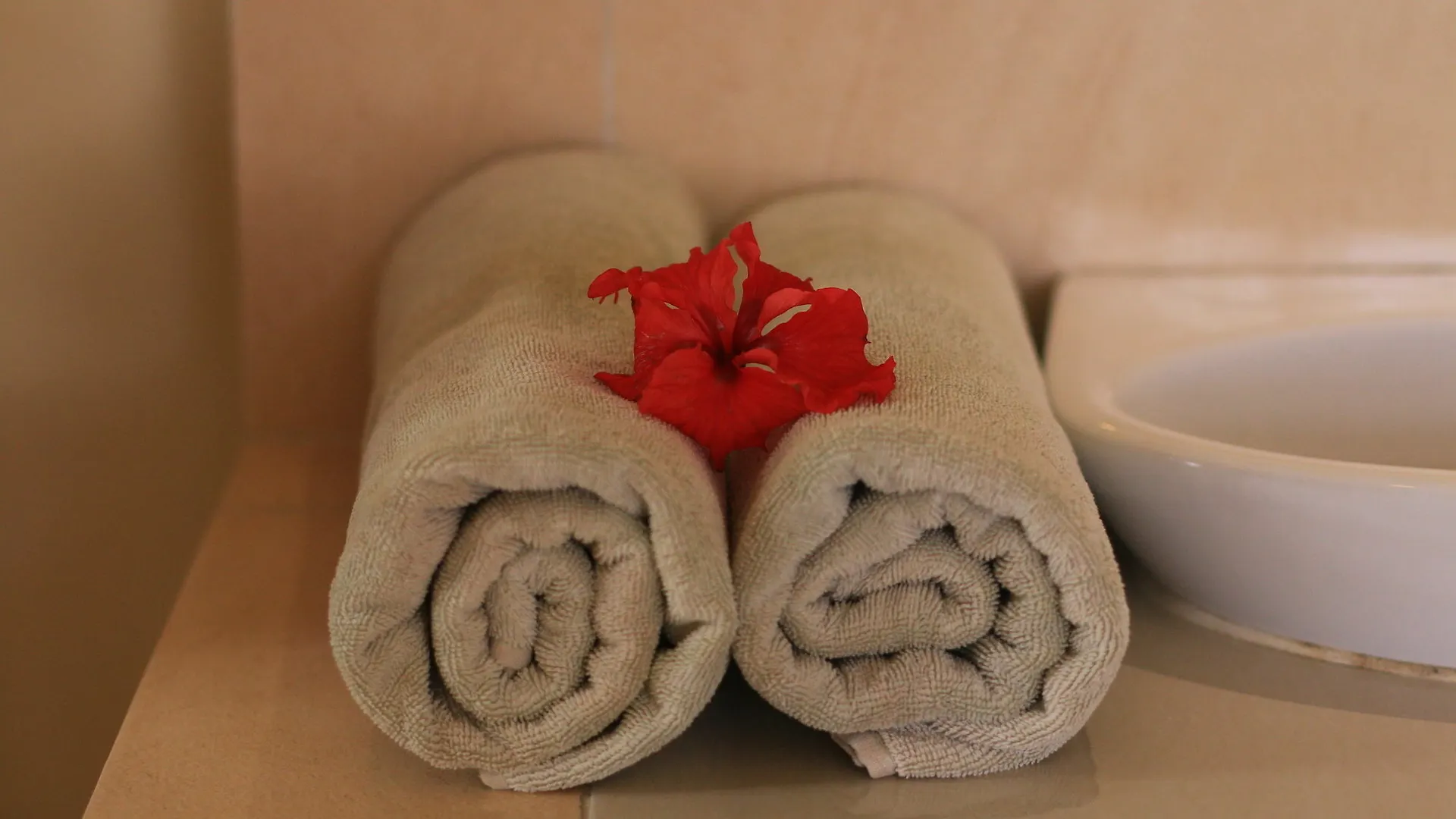 Guest house Frangipani Bungalow Ubud