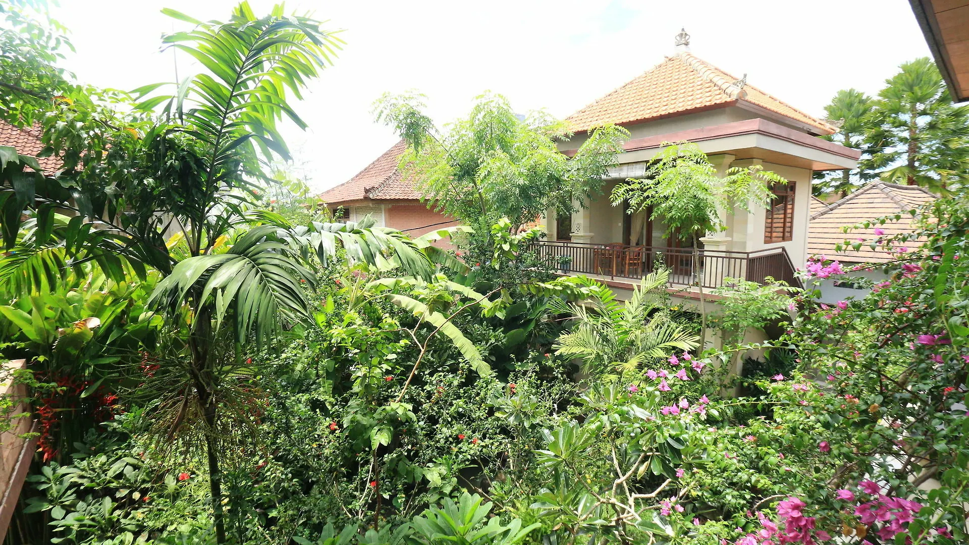Guest house Frangipani Bungalow Ubud